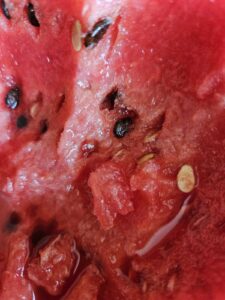 IMG-3f576f17d438a666ffa0453f4b0c9c1c-V