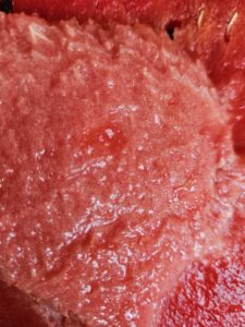 IMG-6154f850e4cc46c1631d9eb231dd8840-V